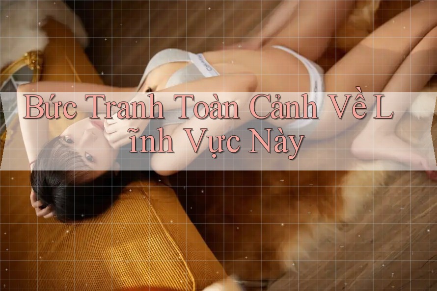 Bức Tranh Toàn Cảnh Về Lĩnh Vực Này Bức Tranh Toàn Cảnh Về Lĩnh Vực Này