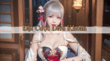 Đặt cược Điều khoản