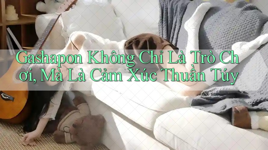 Gashapon Không Chỉ Là Trò Chơi, Mà Là Cảm Xúc Thuần Túy Gashapon Không Chỉ Là Trò Chơi, Mà Là Cảm Xúc Thuần Túy