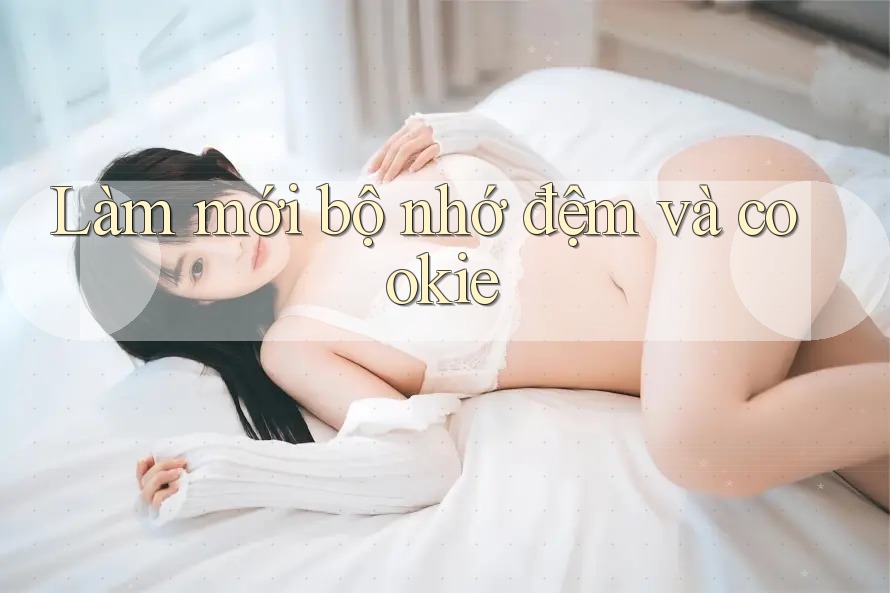 Làm mới bộ nhớ đệm và cookie Làm mới bộ nhớ đệm và cookie