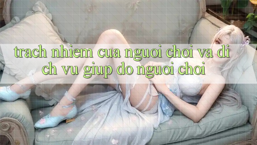 Trách Nhiệm Của Người Chơi Và Dịch Vụ Giúp đỡ Người chơi