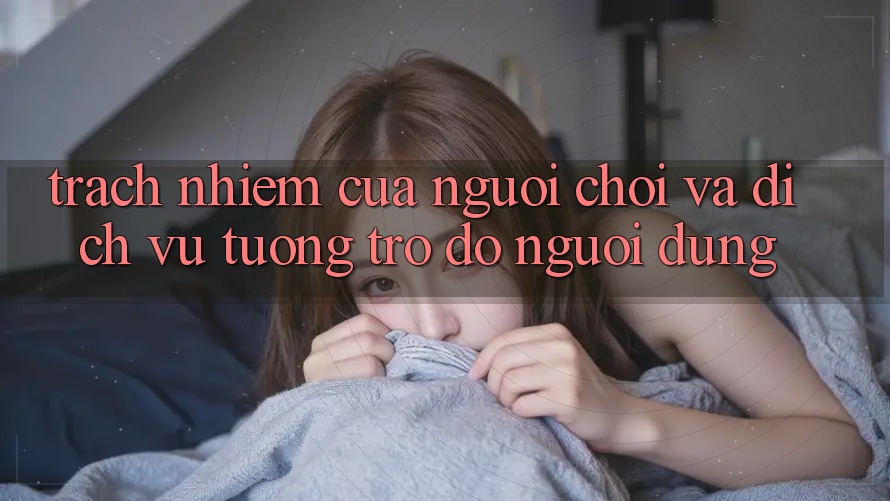 Trách Nhiệm Của Người Chơi Và Dịch Vụ Tương trợ đỡ Người dùng