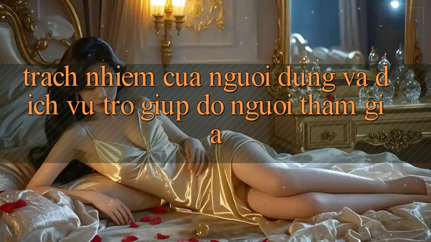 Trách Nhiệm Của Người dùng Và Dịch Vụ Trợ giúp đỡ Người tham gia