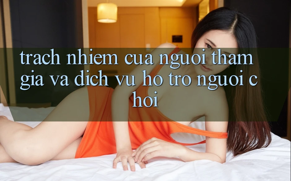 Trách Nhiệm Của Người tham gia Và Dịch Vụ Hỗ Trợ Người chơi Trách Nhiệm Của Người tham gia Và Dịch Vụ Hỗ Trợ Người chơi
