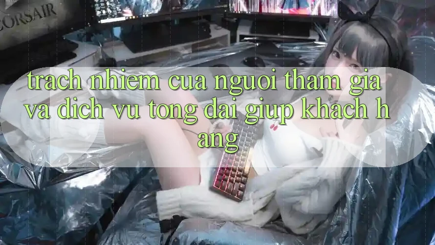 Trách Nhiệm Của Người tham gia Và Dịch Vụ Tổng đài giúp Khách Hàng Trách Nhiệm Của Người tham gia Và Dịch Vụ Tổng đài giúp Khách Hàng