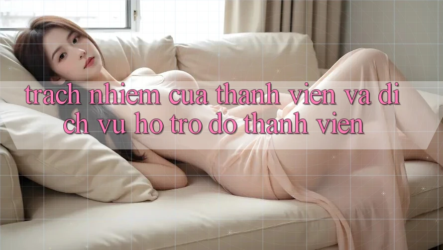 Trách Nhiệm Của Thành viên Và Dịch Vụ Hỗ trợ đỡ Thành viên