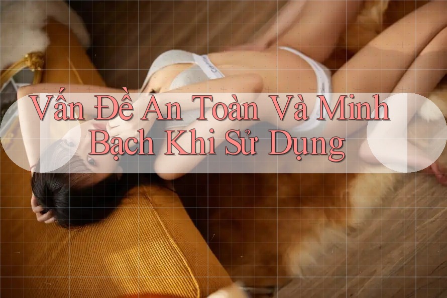 Vấn Đề An Toàn Và Minh Bạch Khi Sử Dụng Vấn Đề An Toàn Và Minh Bạch Khi Sử Dụng